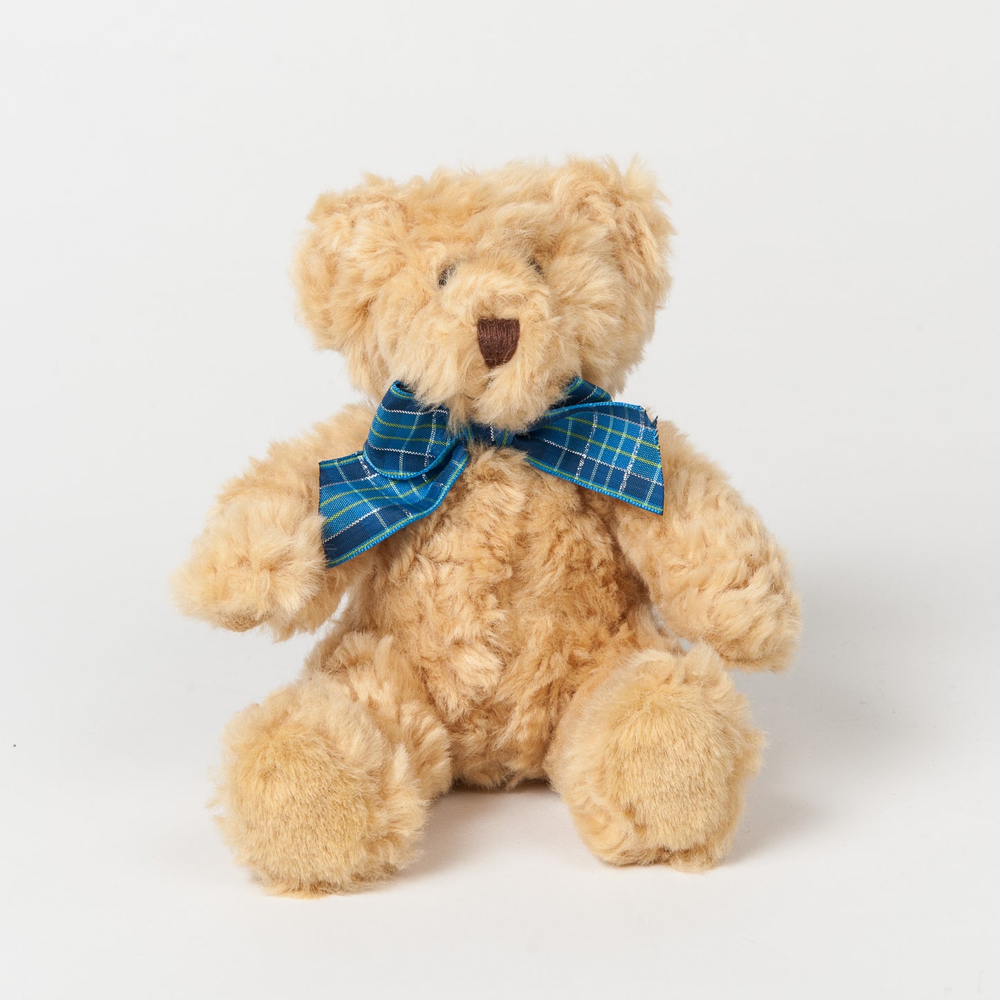 Personalised Teddy Bear - Printed with Personal Message