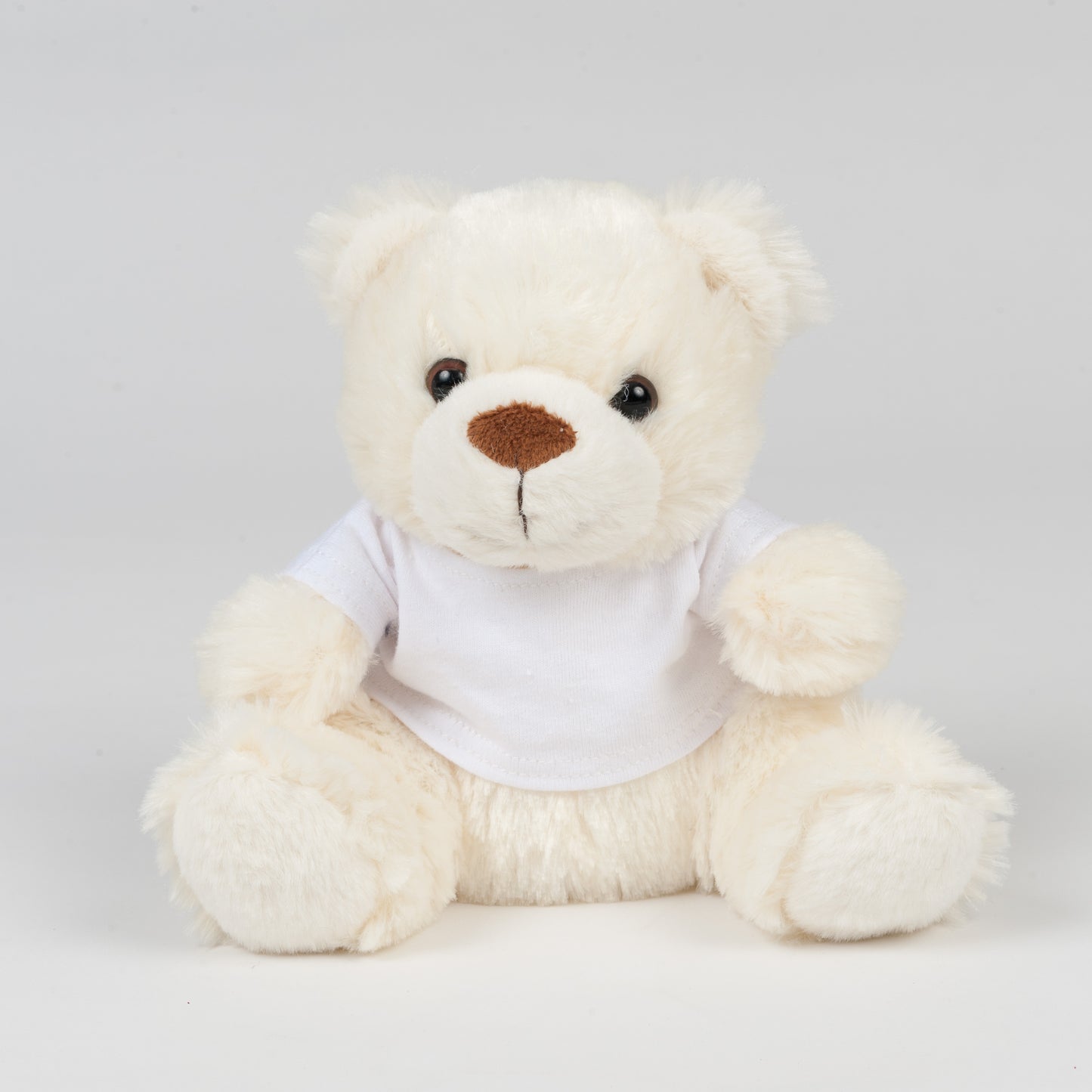Personalised Teddy Bear - Printed with Personal Message