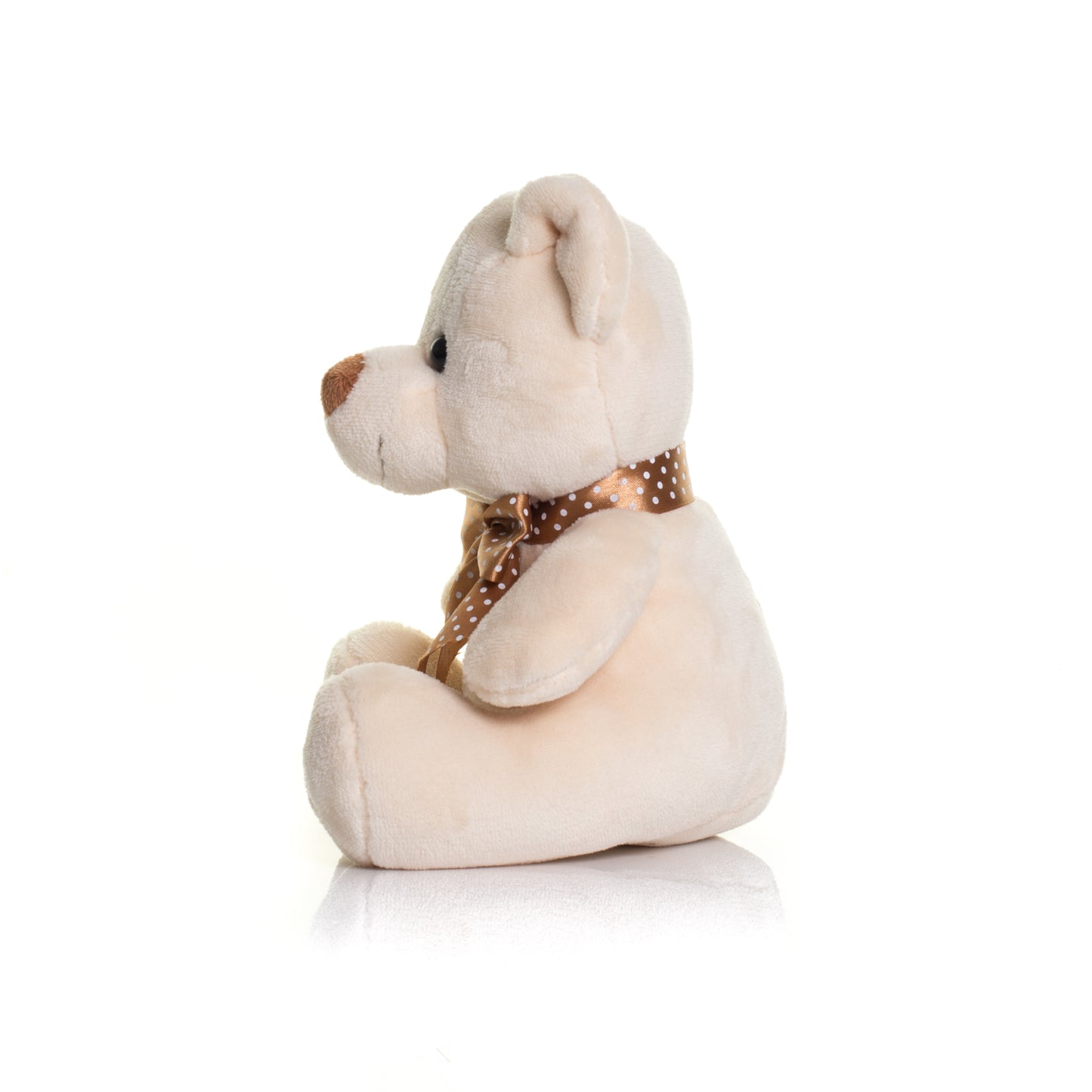 Personalised Teddy Bear - Printed with Personal Message