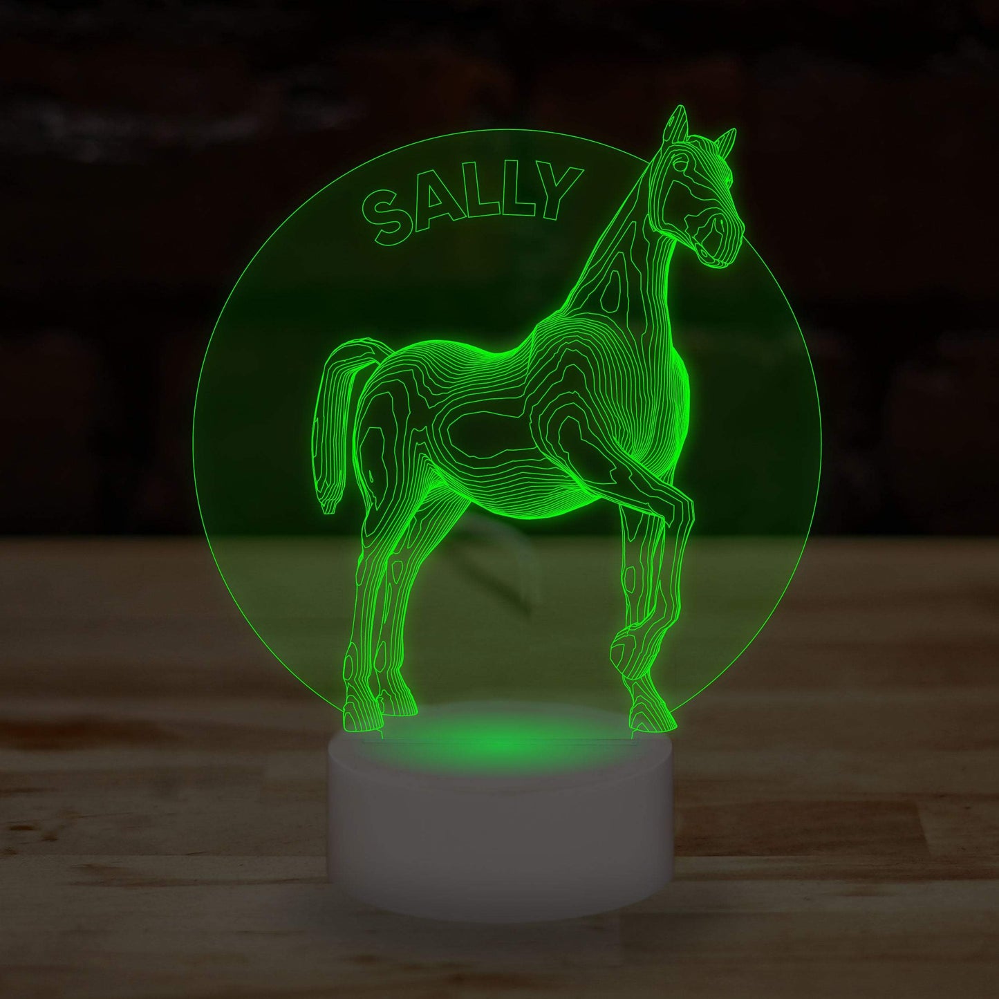 Personalised Horse Name Lamp Custom 3D Effect Equestrian Nightlight 7 Colour LED USB Table Bedroom Desk Lamp - DirectlyPersonalised