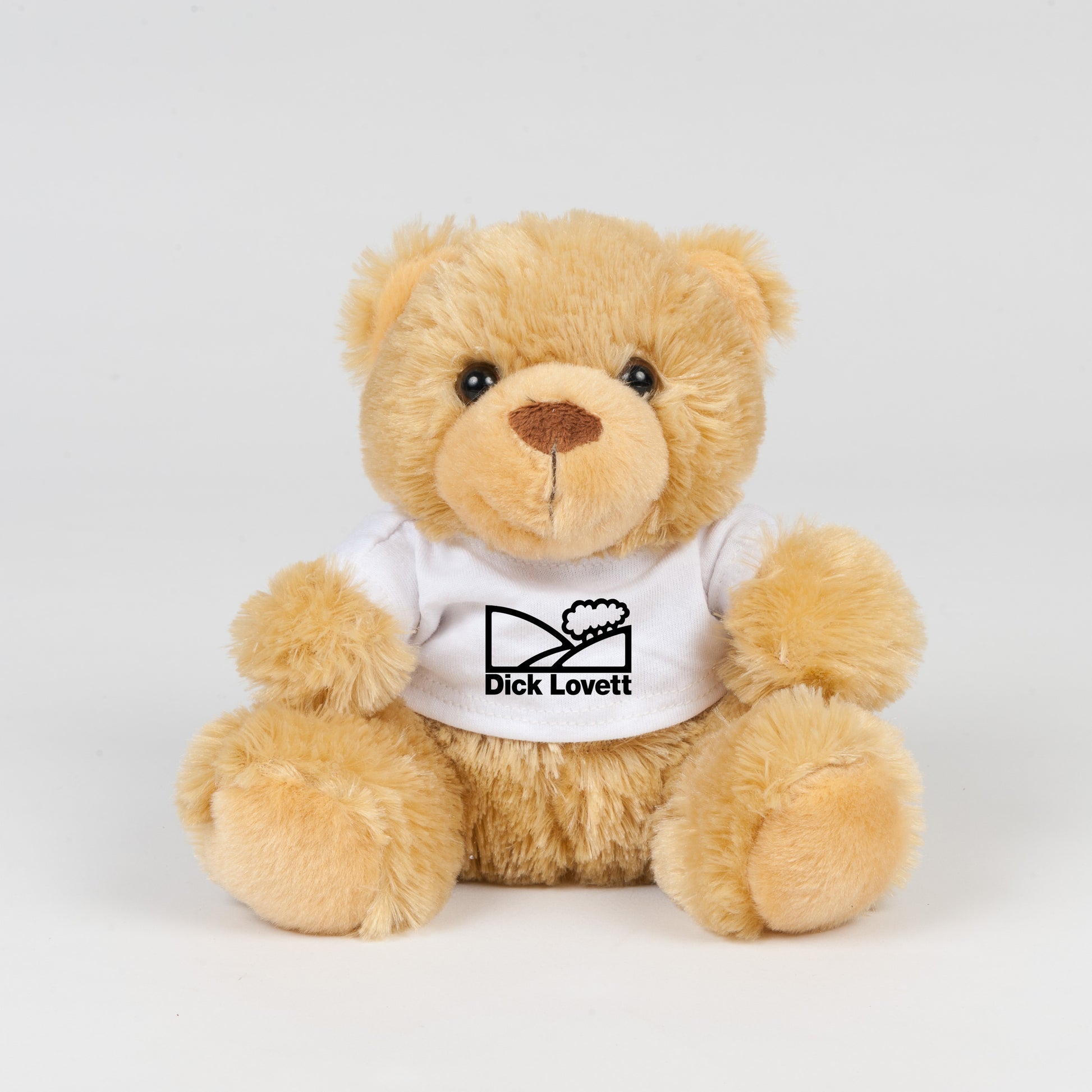 Teddy Bear - Dick Lovett Design - DirectlyPersonalised