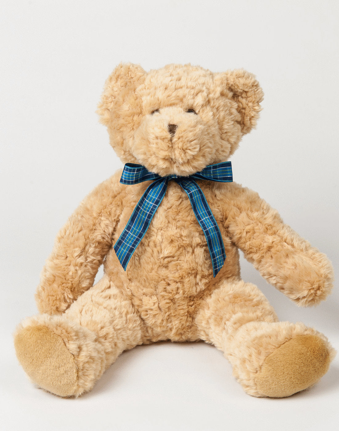 Personalised Teddy Bear - Printed with Personal Message