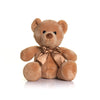 Personalised Teddy Bear - Printed with Personal Message