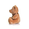 Personalised Teddy Bear - Printed with Personal Message