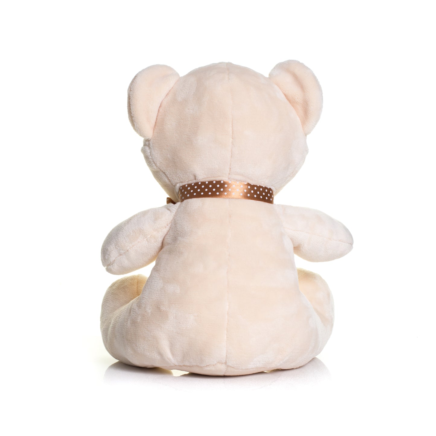 Personalised Teddy Bear - Printed with Personal Message