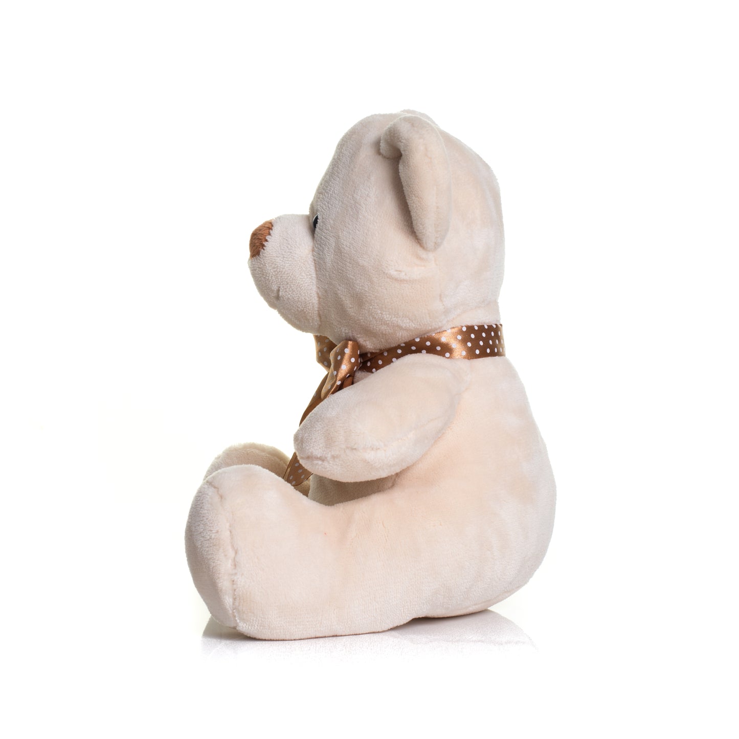 Personalised Teddy Bear - Printed with Personal Message