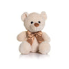 Personalised Teddy Bear - Printed with Personal Message