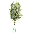 Eucalyptus Bunch with Frost - Christmas Ornament - Frosted Petals