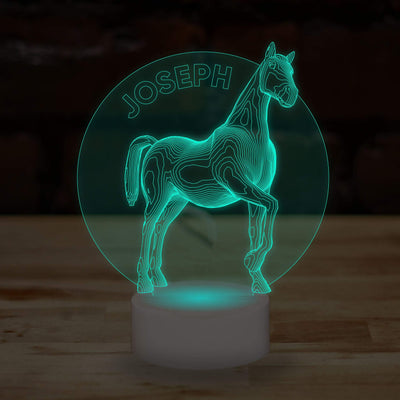 Personalised Horse Name Lamp Custom 3D Effect Equestrian Nightlight 7 Colour LED USB Table Bedroom Desk Lamp - DirectlyPersonalised