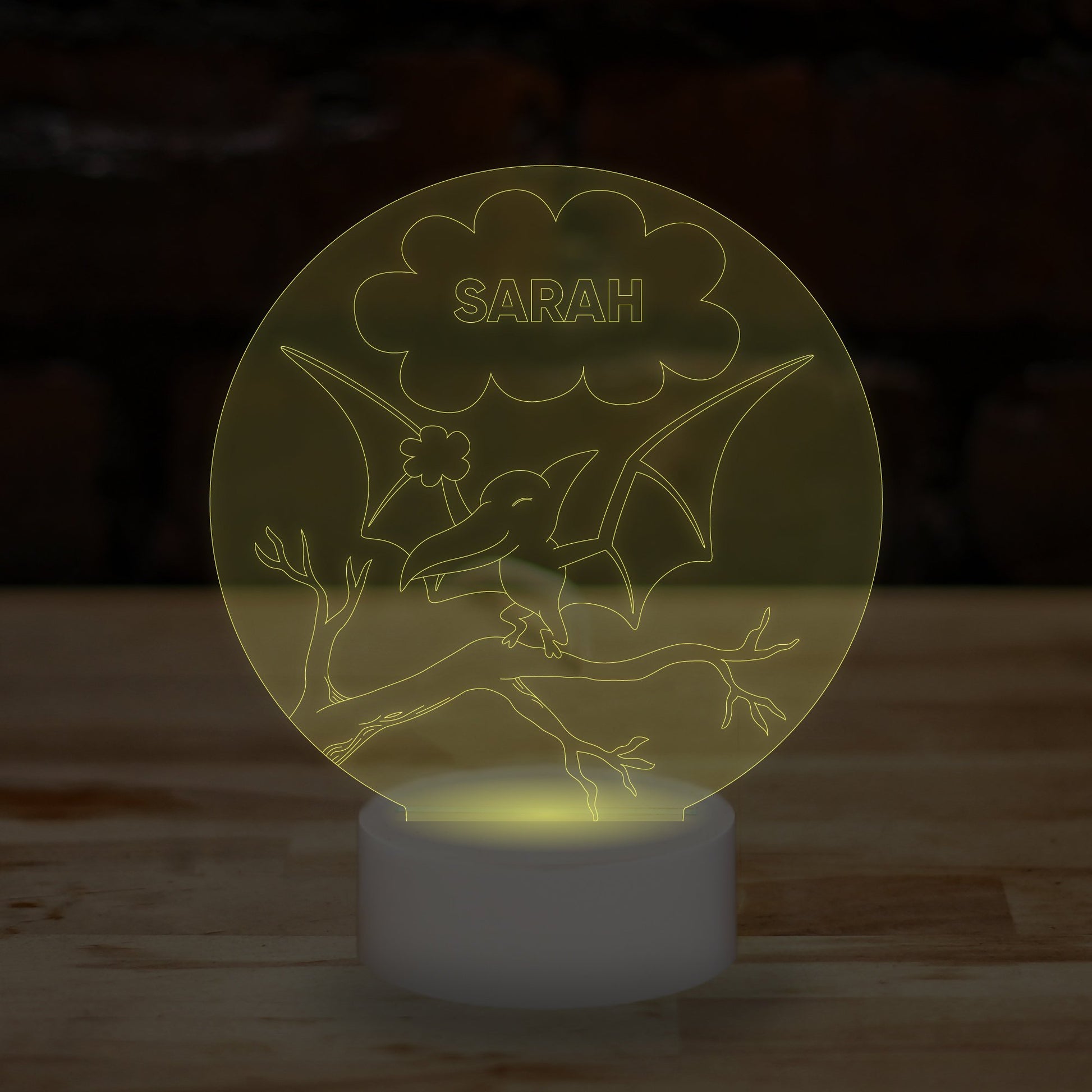 Personalised Dinosaur Lamp Custom 3D Effect Sleep Nightlight 7 Colour LED USB Table Bedroom Desk Lamp .c. - DirectlyPersonalised