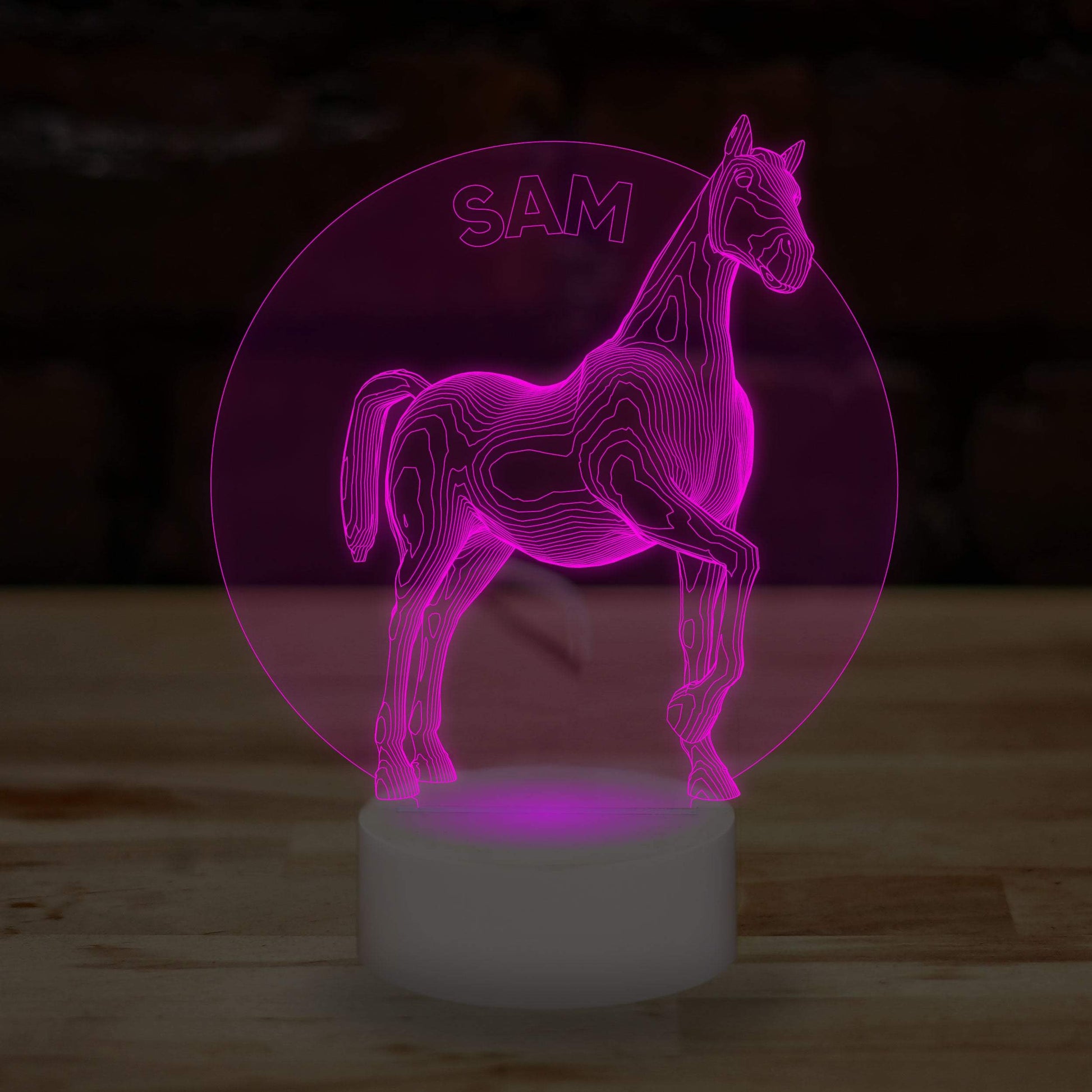 Personalised Horse Name Lamp Custom 3D Effect Equestrian Nightlight 7 Colour LED USB Table Bedroom Desk Lamp - DirectlyPersonalised
