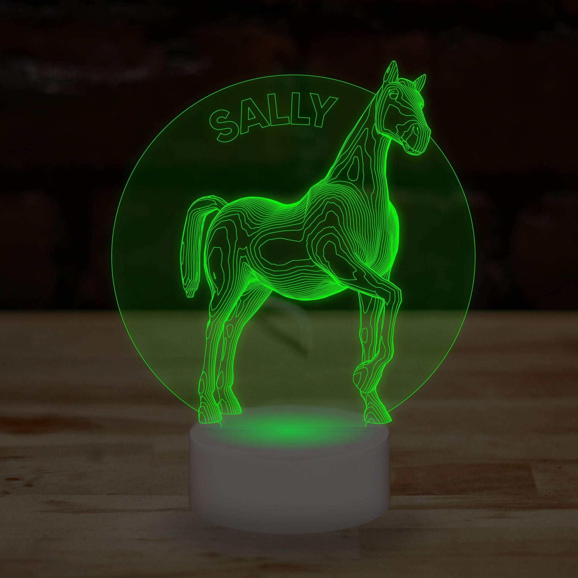 Personalised Horse Name Lamp Custom 3D Effect Equestrian Nightlight 7 Colour LED USB Table Bedroom Desk Lamp - DirectlyPersonalised