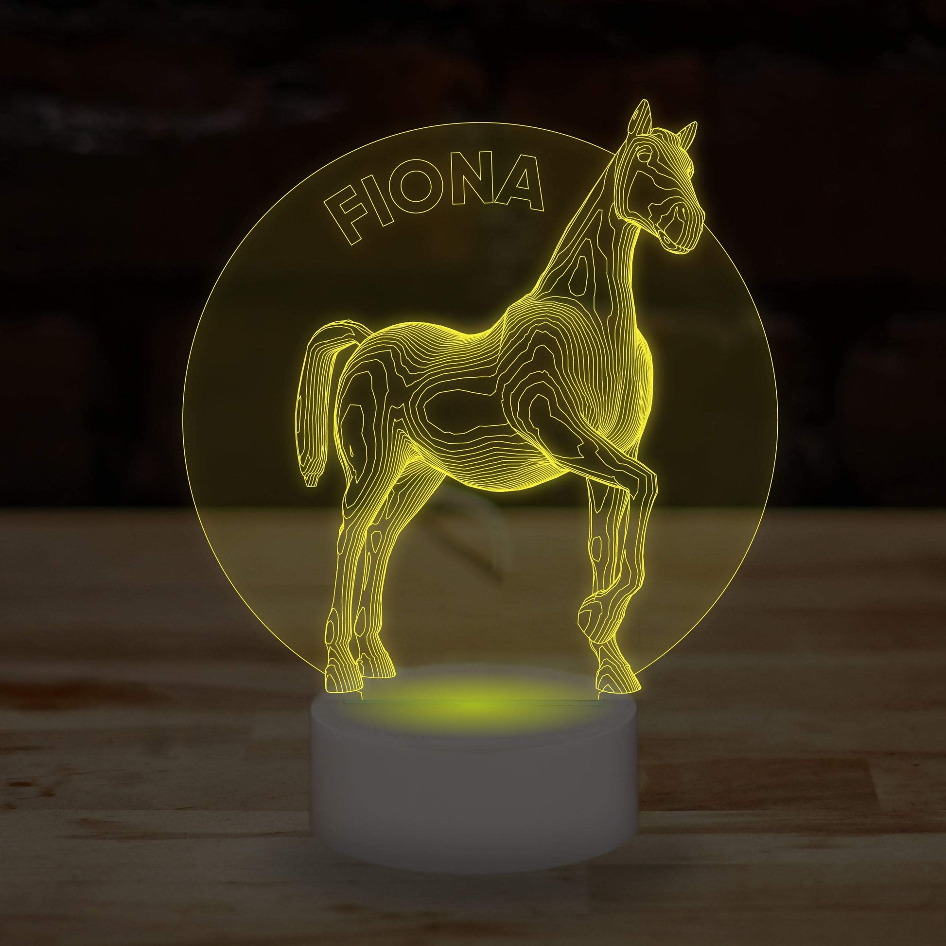 Personalised Horse Name Lamp Custom 3D Effect Equestrian Nightlight 7 Colour LED USB Table Bedroom Desk Lamp - DirectlyPersonalised