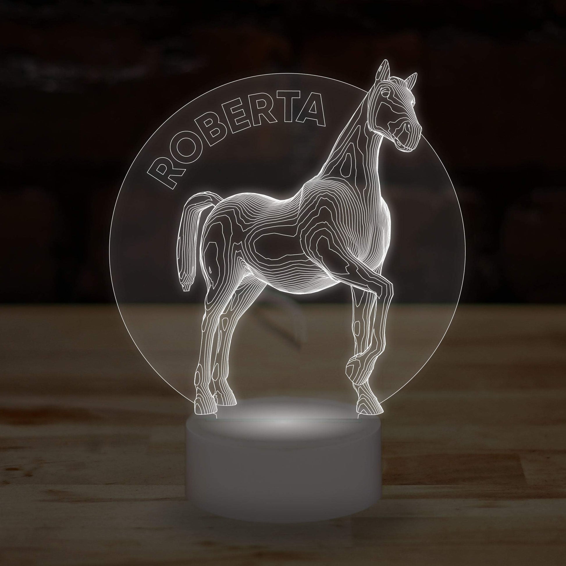 Personalised Horse Name Lamp Custom 3D Effect Equestrian Nightlight 7 Colour LED USB Table Bedroom Desk Lamp - DirectlyPersonalised