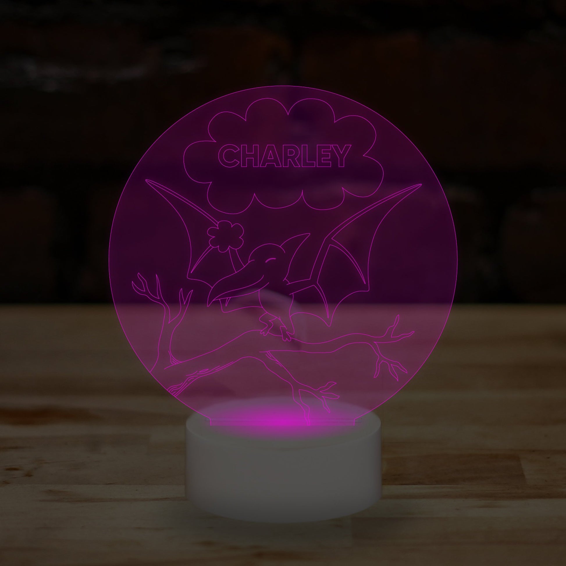 Personalised Dinosaur Lamp Custom 3D Effect Sleep Nightlight 7 Colour LED USB Table Bedroom Desk Lamp .c. - DirectlyPersonalised